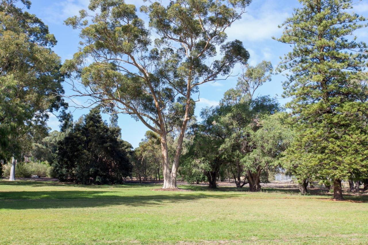 Kings Park Motel Perth Buitenkant foto
